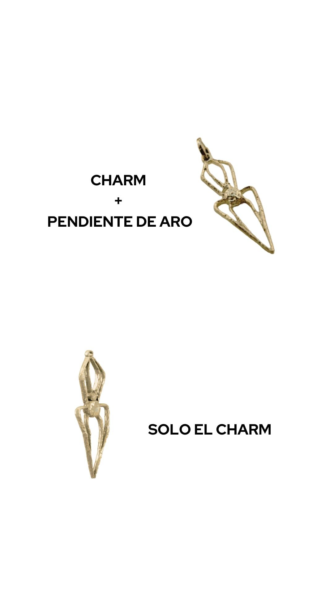 ARACNE CHARM