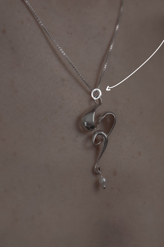 ANILLA Para Charms Minis