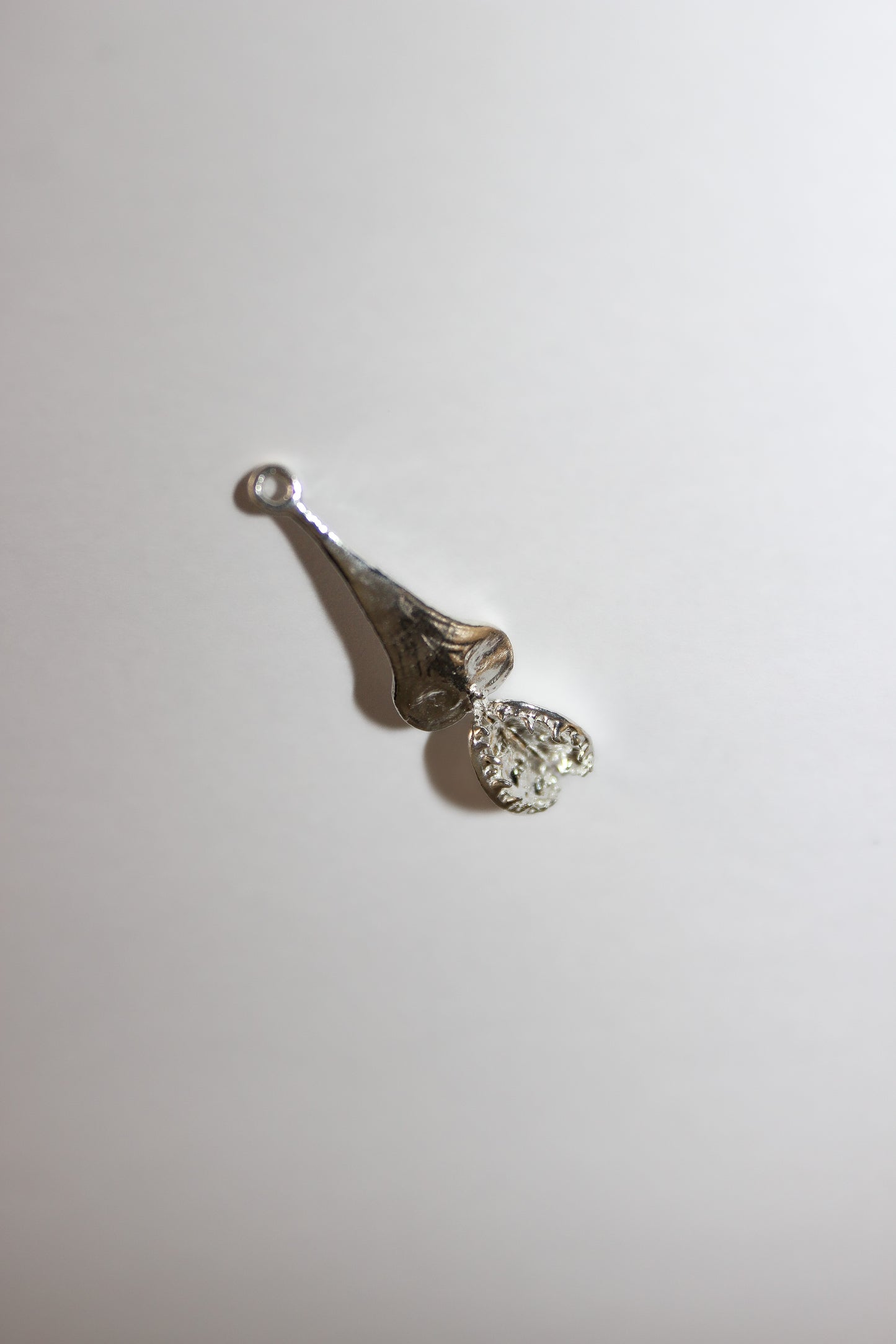 CHARM MINI VENUS (unidad)