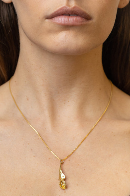 VENUS MINI - COLLAR